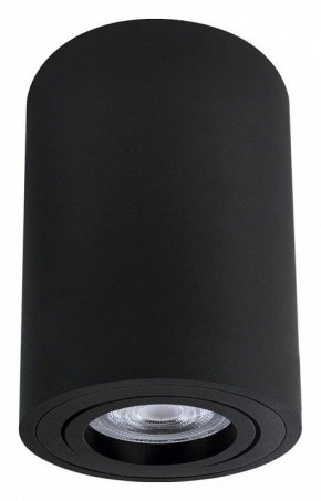Накладной светильник Arte Lamp Sentry A1566PL-1BK в Заречном - zarechnyy.ok-mebel.com | фото