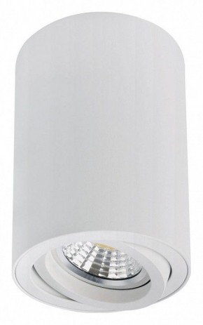 Накладной светильник Arte Lamp Sentry A1566PL-1WH в Заречном - zarechnyy.ok-mebel.com | фото