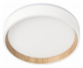 Накладной светильник Citilux Etalon CL750180 в Заречном - zarechnyy.ok-mebel.com | фото