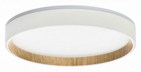 Накладной светильник Citilux Etalon CL750240 в Заречном - zarechnyy.ok-mebel.com | фото