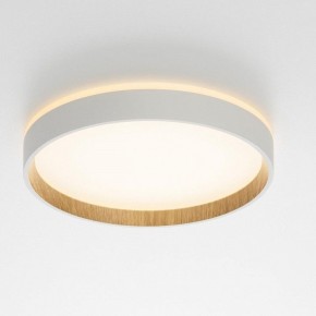 Накладной светильник Citilux Etalon CL750240 в Заречном - zarechnyy.ok-mebel.com | фото 12