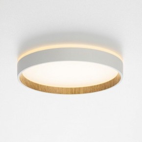 Накладной светильник Citilux Etalon CL750240 в Заречном - zarechnyy.ok-mebel.com | фото 4