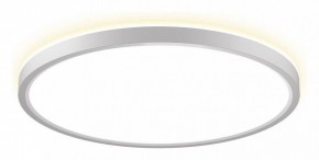 Накладной светильник Citilux NORMA CL748320 в Заречном - zarechnyy.ok-mebel.com | фото