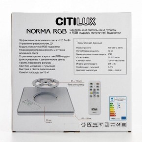 Накладной светильник Citilux Norma CL749K301 в Заречном - zarechnyy.ok-mebel.com | фото 10