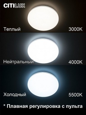 Накладной светильник Citilux Симпла CL714330G в Заречном - zarechnyy.ok-mebel.com | фото 4