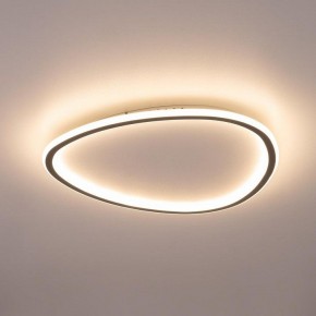 Накладной светильник Citilux ТRIO CL215B251E в Заречном - zarechnyy.ok-mebel.com | фото 9