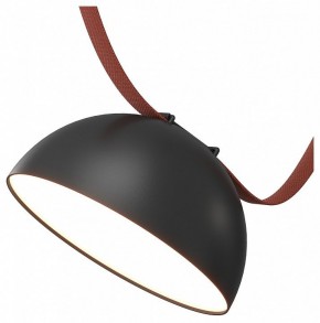 Накладной светильник Denkirs Belty Flow DK5660-BK в Заречном - zarechnyy.ok-mebel.com | фото