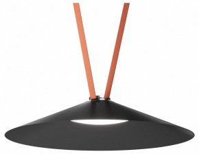 Накладной светильник Denkirs Belty Flow DK5668-BK в Заречном - zarechnyy.ok-mebel.com | фото