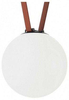 Накладной светильник Denkirs Belty Orb DK5554-BK в Заречном - zarechnyy.ok-mebel.com | фото