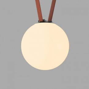 Накладной светильник Denkirs Belty Orb DK5555-BK в Заречном - zarechnyy.ok-mebel.com | фото 2