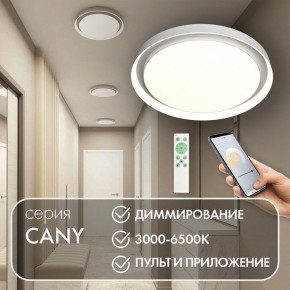 Накладной светильник Denkirs Cany DK6516-WH в Заречном - zarechnyy.ok-mebel.com | фото 4