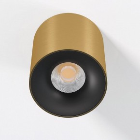 Накладной светильник Elektrostandard Primo 25116/LED в Заречном - zarechnyy.ok-mebel.com | фото 2