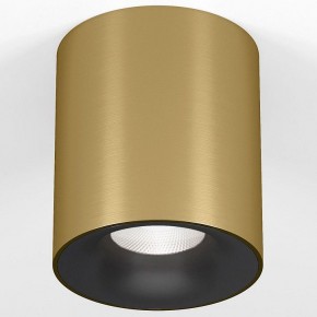 Накладной светильник Elektrostandard Primo 25116/LED в Заречном - zarechnyy.ok-mebel.com | фото 2