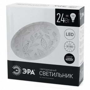 Накладной светильник Эра Классик SPB-6-24-4K (C) в Заречном - zarechnyy.ok-mebel.com | фото 4