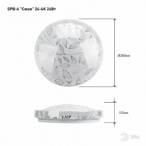 Накладной светильник Эра Классик SPB-6-24-4K (C) в Заречном - zarechnyy.ok-mebel.com | фото 6