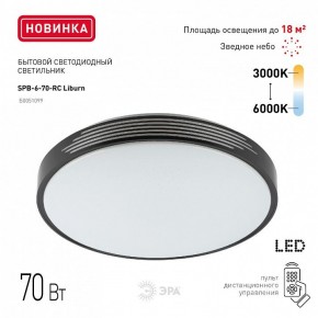 Накладной светильник Эра Классик SPB-6-70-RC Liburn в Заречном - zarechnyy.ok-mebel.com | фото 10