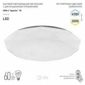 Накладной светильник Эра Классик SPB-6-70-RC Sparkle в Заречном - zarechnyy.ok-mebel.com | фото 2