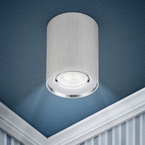 Накладной светильник Эра  OL1 GU10 SL/CH в Заречном - zarechnyy.ok-mebel.com | фото 3