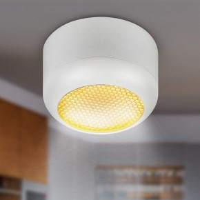 Накладной светильник Эра  OL56 WH в Заречном - zarechnyy.ok-mebel.com | фото 8