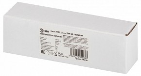 Накладной светильник Эра  TRM-S5-1-6W4K-BK в Заречном - zarechnyy.ok-mebel.com | фото 6