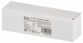 Накладной светильник Эра  TRM-S5-1-6W4K-WH в Заречном - zarechnyy.ok-mebel.com | фото 6