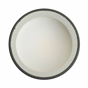 Накладной светильник Feron ML100 51369 в Заречном - zarechnyy.ok-mebel.com | фото 8