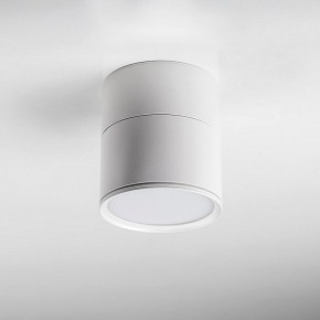 Накладной светильник Lightstar Acuto 215886 в Заречном - zarechnyy.ok-mebel.com | фото 3