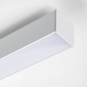 Накладной светильник Lightstar Lilla 202136 в Заречном - zarechnyy.ok-mebel.com | фото 4