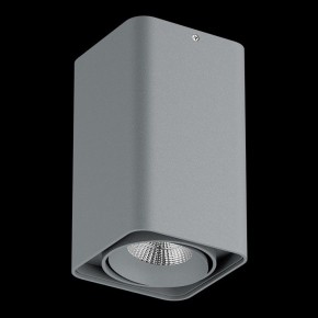 Накладной светильник Lightstar Monocco 052139-IP65 в Заречном - zarechnyy.ok-mebel.com | фото 2