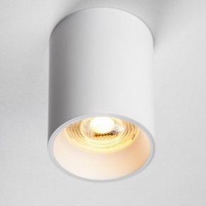 Накладной светильник Lightstar Rullo 213436 в Заречном - zarechnyy.ok-mebel.com | фото 2