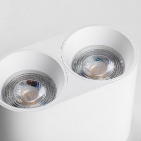 Накладной светильник Lightstar Rullo 213466 в Заречном - zarechnyy.ok-mebel.com | фото 6