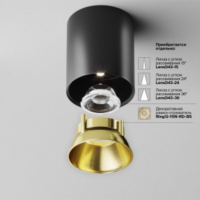 Накладной светильник Maytoni Alfa LED C064CL-12W4K-RD-B в Заречном - zarechnyy.ok-mebel.com | фото 3