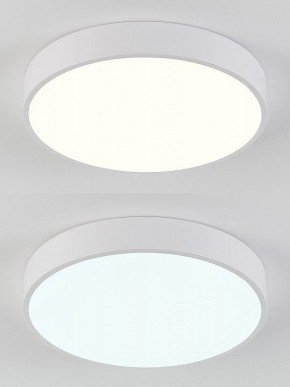 Накладной светильник Natali Kovaltseva  LED LAMPS 81111/5C в Заречном - zarechnyy.ok-mebel.com | фото 4
