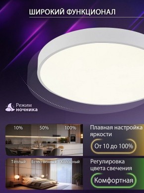 Накладной светильник Natali Kovaltseva  LED LAMPS 81111/5C в Заречном - zarechnyy.ok-mebel.com | фото 6