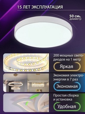 Накладной светильник Natali Kovaltseva  LED LAMPS 81112/5C в Заречном - zarechnyy.ok-mebel.com | фото 4
