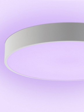Накладной светильник Natali Kovaltseva MODERN LED LAMPS 81105/1C в Заречном - zarechnyy.ok-mebel.com | фото 9