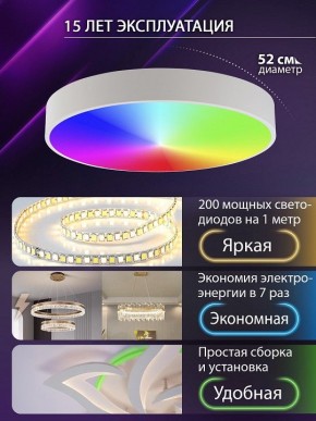 Накладной светильник Natali Kovaltseva MODERN LED LAMPS 81105/2C в Заречном - zarechnyy.ok-mebel.com | фото 6