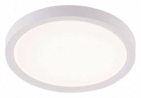 Накладной светильник Natali Kovaltseva PLAIN LED LAMPS 81113/1C в Заречном - zarechnyy.ok-mebel.com | фото