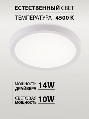 Накладной светильник Natali Kovaltseva PLAIN LED LAMPS 81113/1C в Заречном - zarechnyy.ok-mebel.com | фото 4