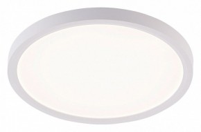 Накладной светильник Natali Kovaltseva PLAIN LED LAMPS 81113/2C в Заречном - zarechnyy.ok-mebel.com | фото