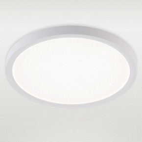Накладной светильник Natali Kovaltseva PLAIN LED LAMPS 81113/2C в Заречном - zarechnyy.ok-mebel.com | фото 2