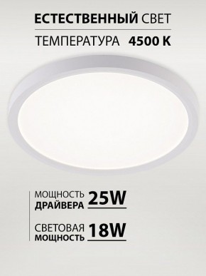 Накладной светильник Natali Kovaltseva PLAIN LED LAMPS 81113/2C в Заречном - zarechnyy.ok-mebel.com | фото 3