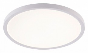 Накладной светильник Natali Kovaltseva PLAIN LED LAMPS 81113/3C в Заречном - zarechnyy.ok-mebel.com | фото