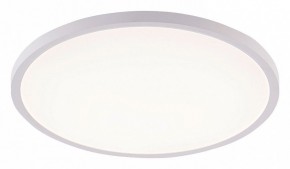 Накладной светильник Natali Kovaltseva PLAIN LED LAMPS 81113/5C в Заречном - zarechnyy.ok-mebel.com | фото