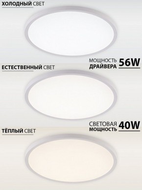 Накладной светильник Natali Kovaltseva PLAIN LED LAMPS 81113/5C в Заречном - zarechnyy.ok-mebel.com | фото 3