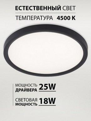 Накладной светильник Natali Kovaltseva PLAIN LED LAMPS 81114/2C в Заречном - zarechnyy.ok-mebel.com | фото 3