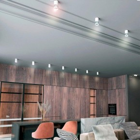 Накладной светильник Novotech Elina 370730 в Заречном - zarechnyy.ok-mebel.com | фото 3