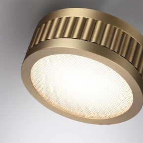 Накладной светильник Odeon Light Manchester 7013/7CL в Заречном - zarechnyy.ok-mebel.com | фото 5