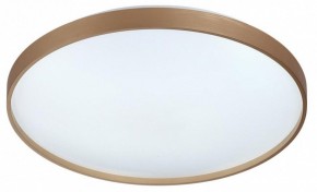 Накладной светильник Sonex Gaby 7783/EL в Заречном - zarechnyy.ok-mebel.com | фото 4