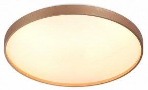 Накладной светильник Sonex Gaby 7783/EL в Заречном - zarechnyy.ok-mebel.com | фото 5